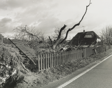 103417 Afbeelding van een door de storm van 25 januari 1990 omgewaaide boom aan de Provincialeweg te Bunnik, met op de ...